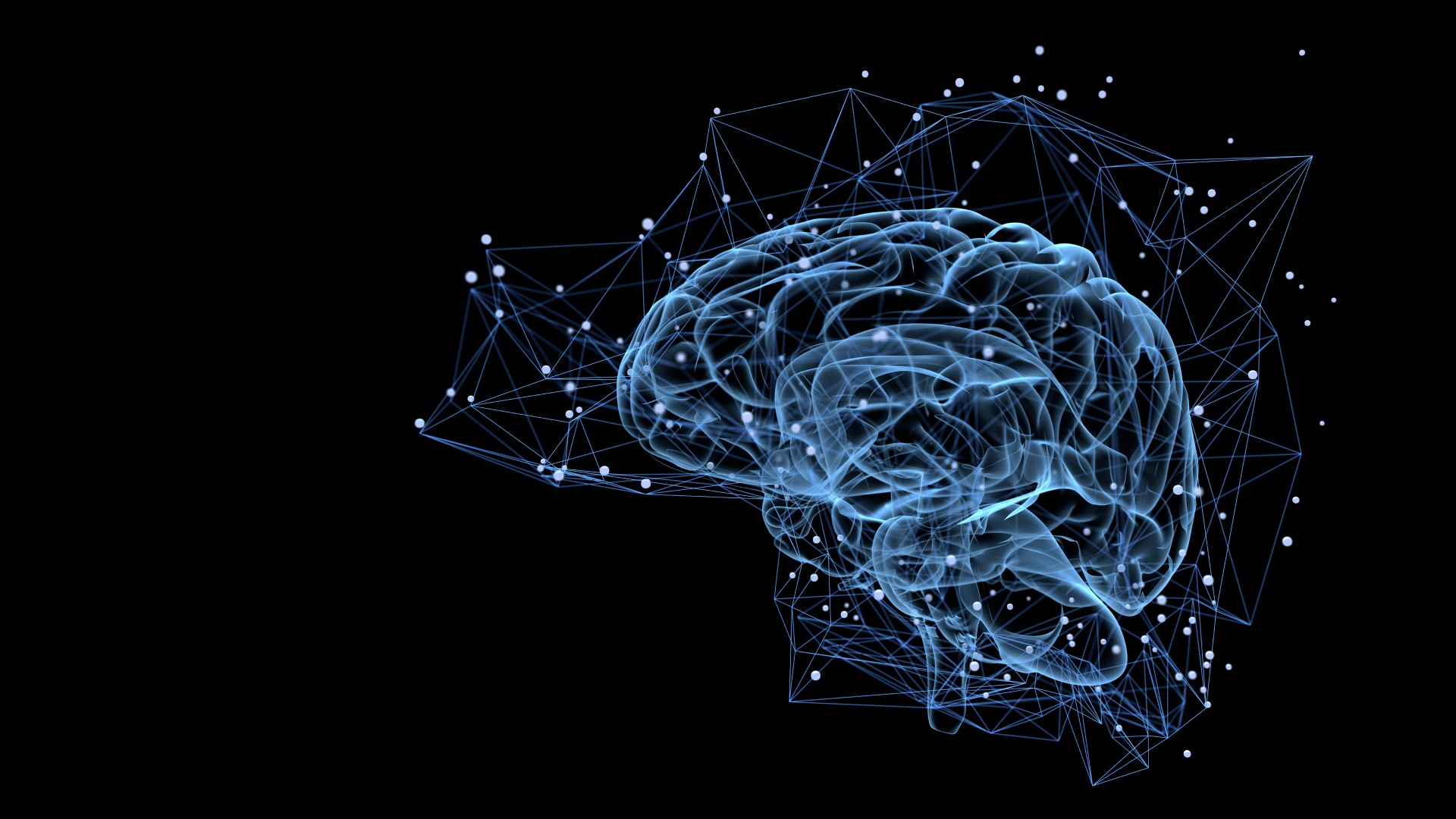 Come e perché proviamo paura? Al Caffè Scienza la risposta del neuroscienziato