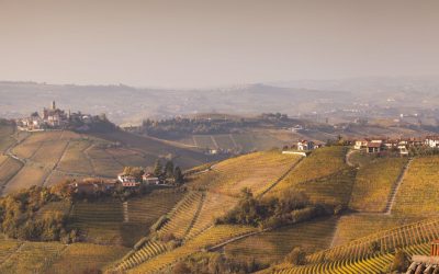 GRANDI BANDI: implementazione della biodiversità sul territorio della Regione Piemonte