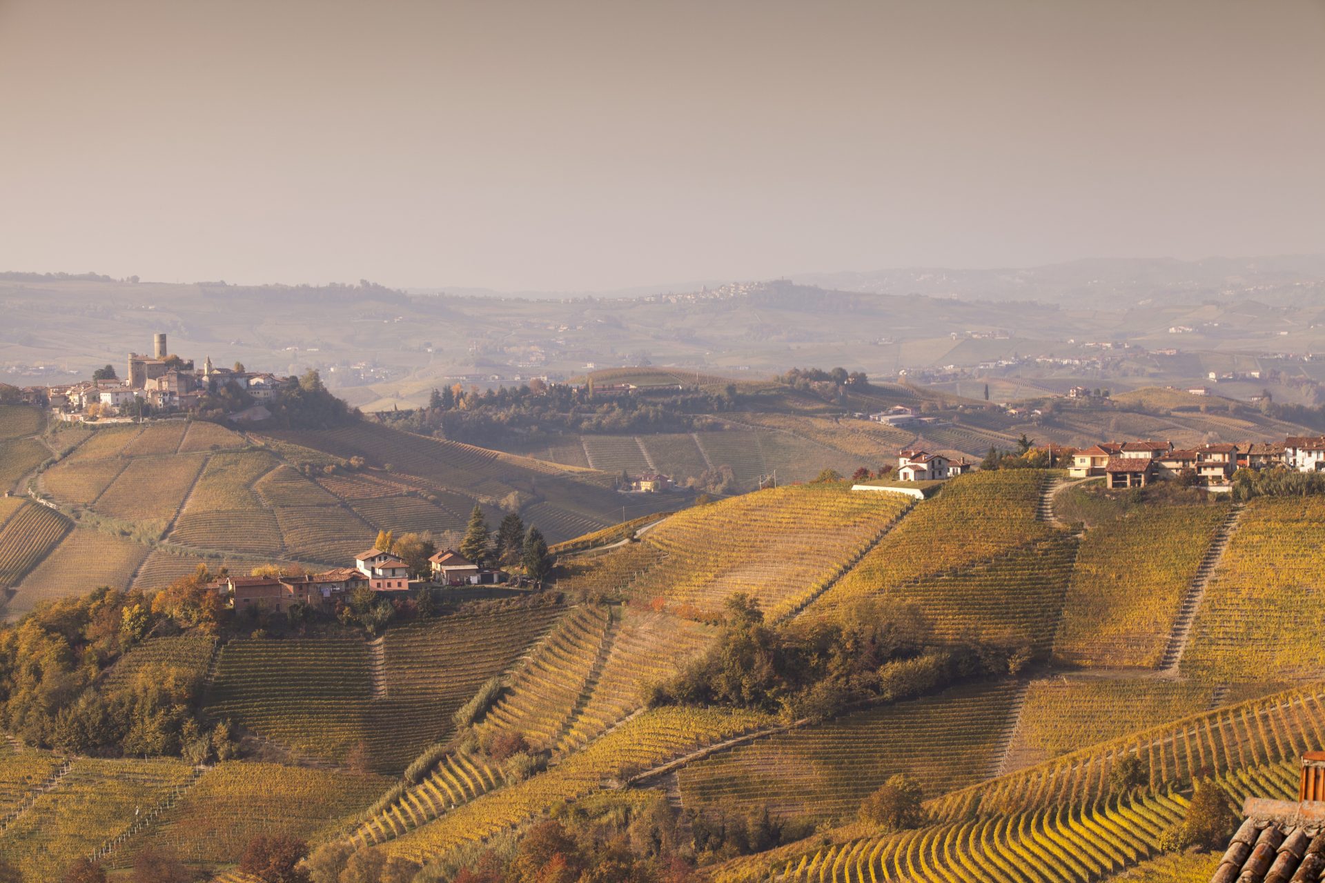 GRANDI BANDI: implementazione della biodiversità sul territorio della Regione Piemonte