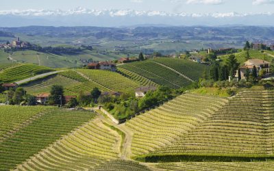 GRANDI BANDI: informazione e promozione dei prodotti agricoli e alimentari di qualità