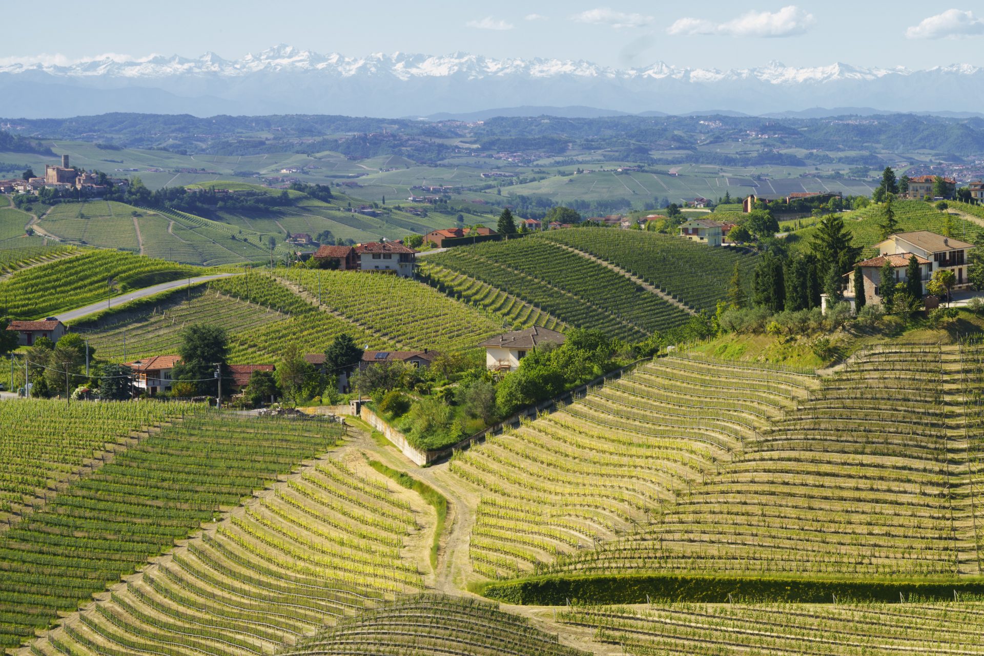 GRANDI BANDI: informazione e promozione dei prodotti agricoli e alimentari di qualità