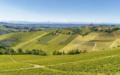 GRANDI BANDI: sviluppo e completamento di infrastrutture verdi nel territorio regionale