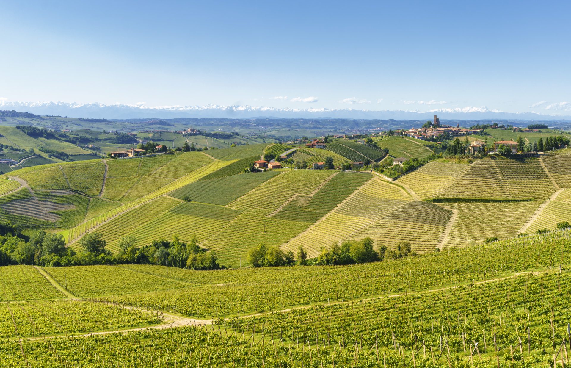 GRANDI BANDI: sviluppo e completamento di infrastrutture verdi nel territorio regionale