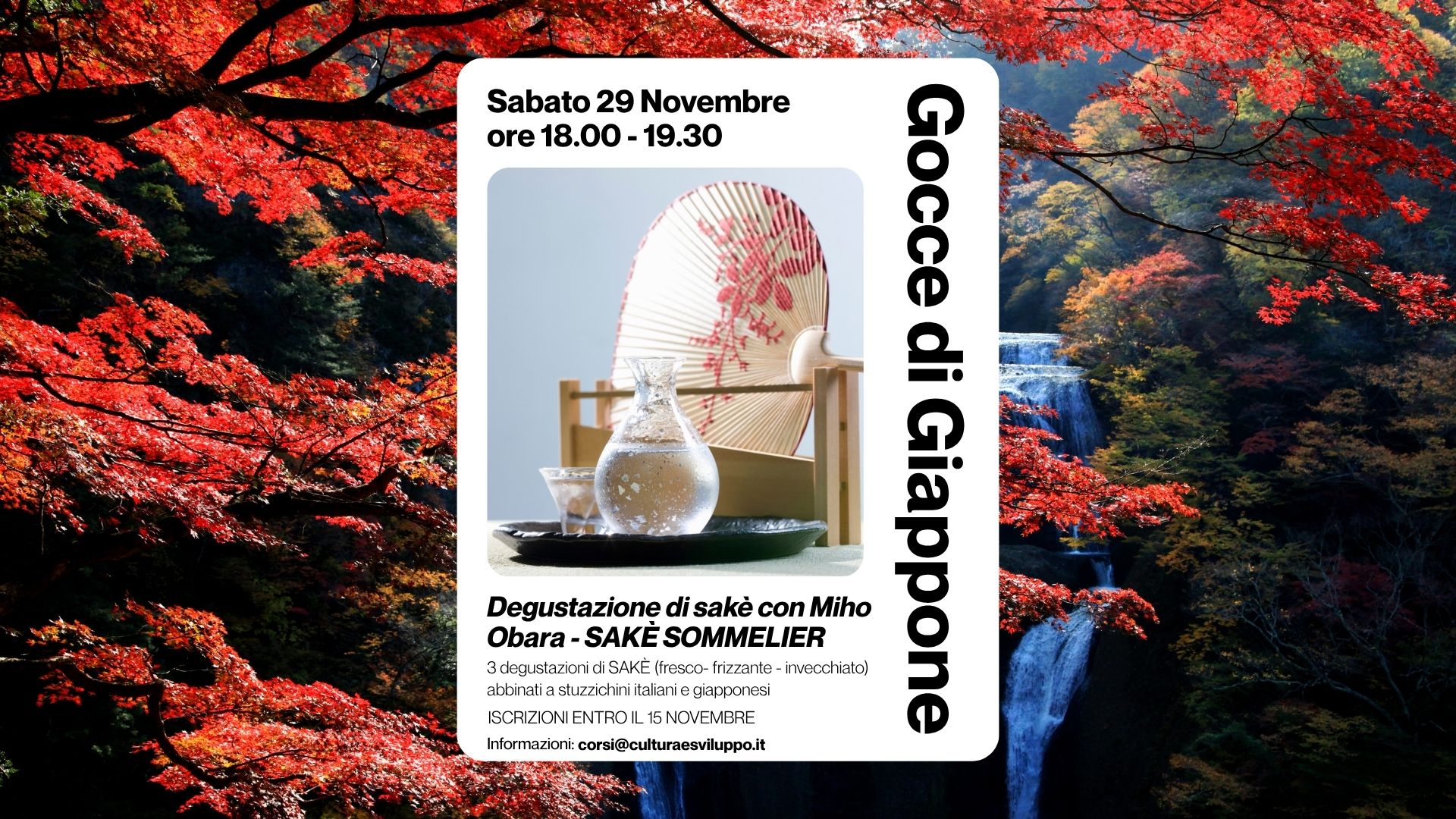 Degustazione di saké