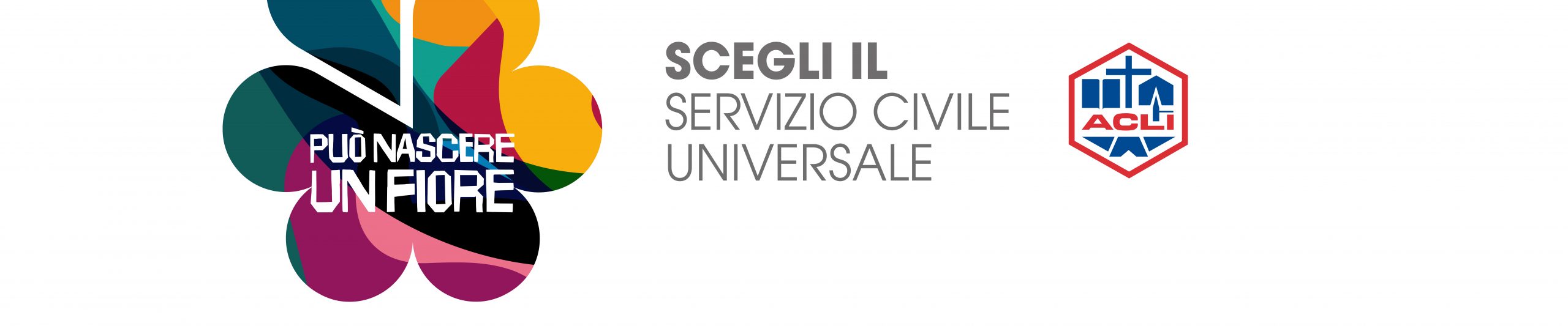 Servizio civile 4000x833